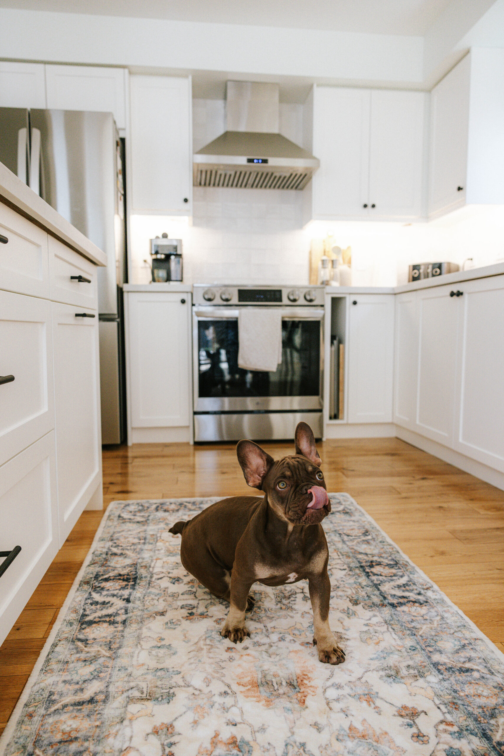 Display Cabinetry